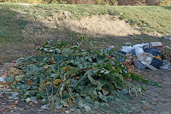 IMG_20221102_081345